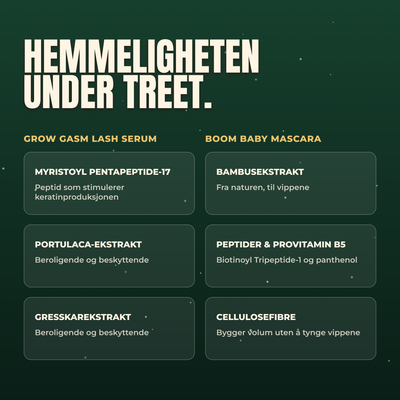 Christmas Kit
